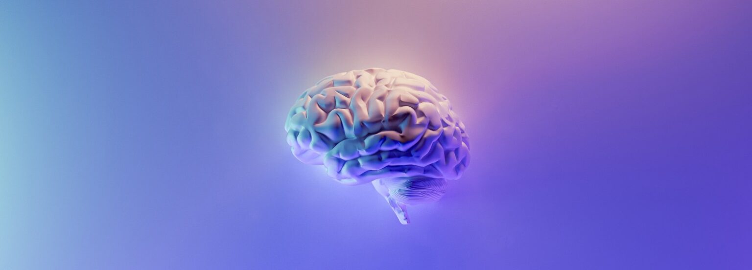 brain