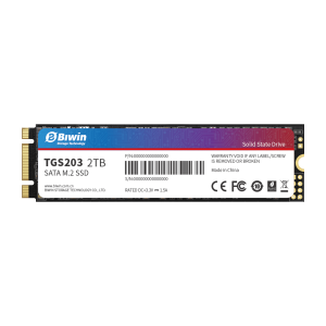 TGS203 SSD