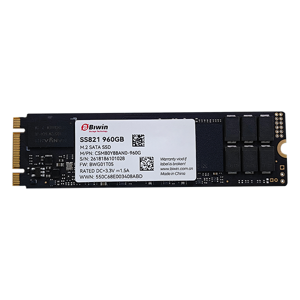 SS821 Enterprise M.2 SATA SSD